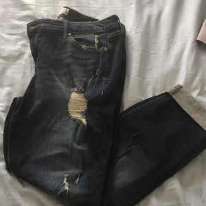 Torrid Jeans